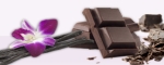 <b>222-to-cater.de</b ><br />handgefertigte und beschriftete Pralinen Logopralinen, Baumkuchen  Versand